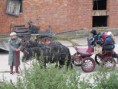 /album/menrit-en-barbecue-29-09-2014/menrit-29-9-12-020-jpg/
